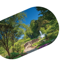 image for site