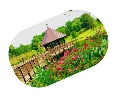 image for site